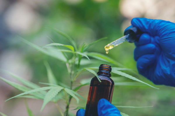 how long does CBD oil take to work for anxiety