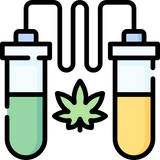 Extraction process of CBD being diluted into oil