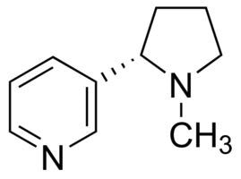 Ingesting nicotine pouches