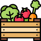 Illustration of organic food