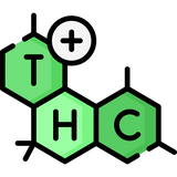 Illustration showing the compound THC