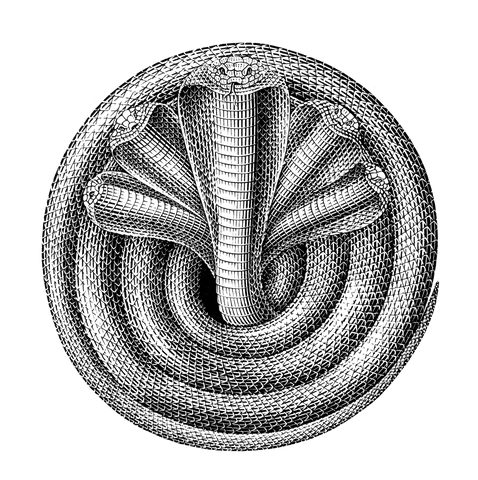 5 headed snake/naga/பாம்பு in circular and black & white illustration form