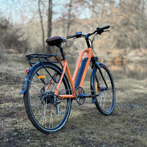 Electric Bike | Eco Bike Co