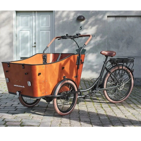 AMCargo Harmony Tadpole Cargo Electric Bike | Eco Bike Co
