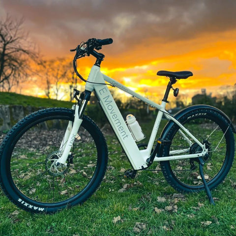 Electric Bikes | Eco Bike Co.