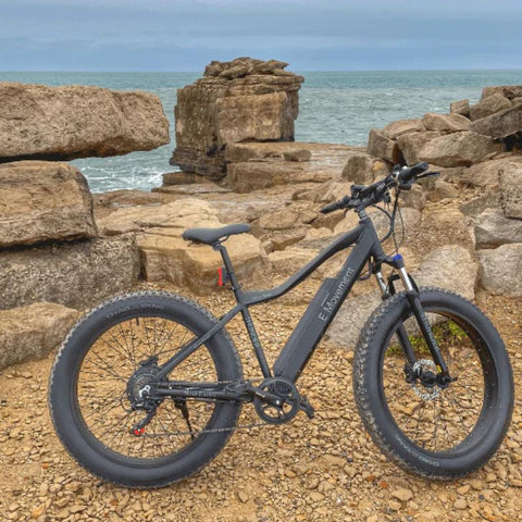 Electric Bike | Eco Bike Co