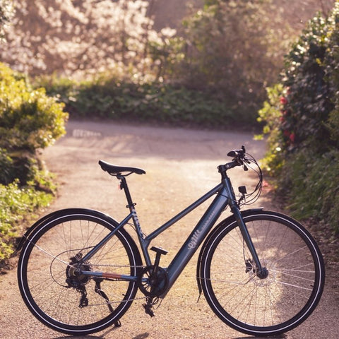 Emu Evo Electric Bike 250W | Eco Bike Co