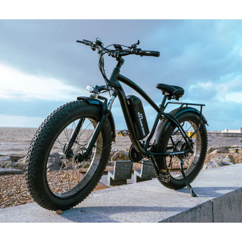 Electric Bike | Eco Bike Co