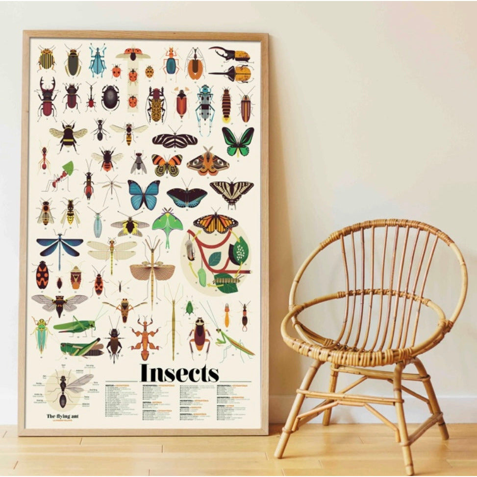 Insects Sticker Poster - Serenity Toys Boutique