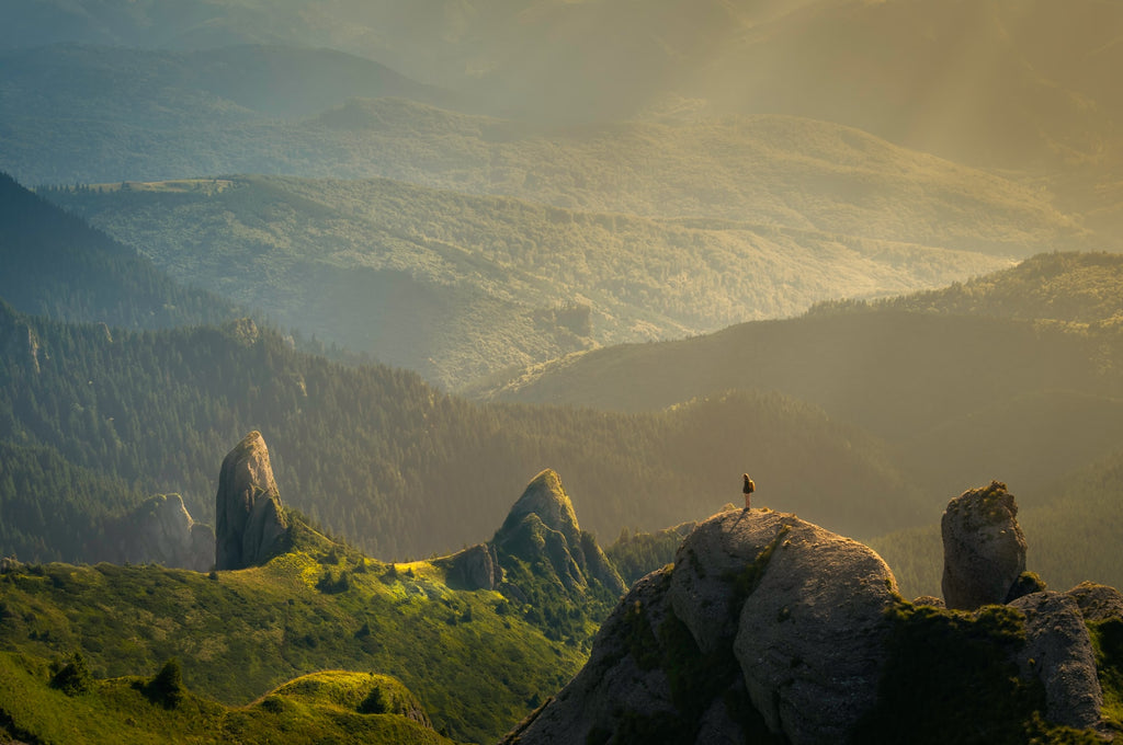 person standing in nature