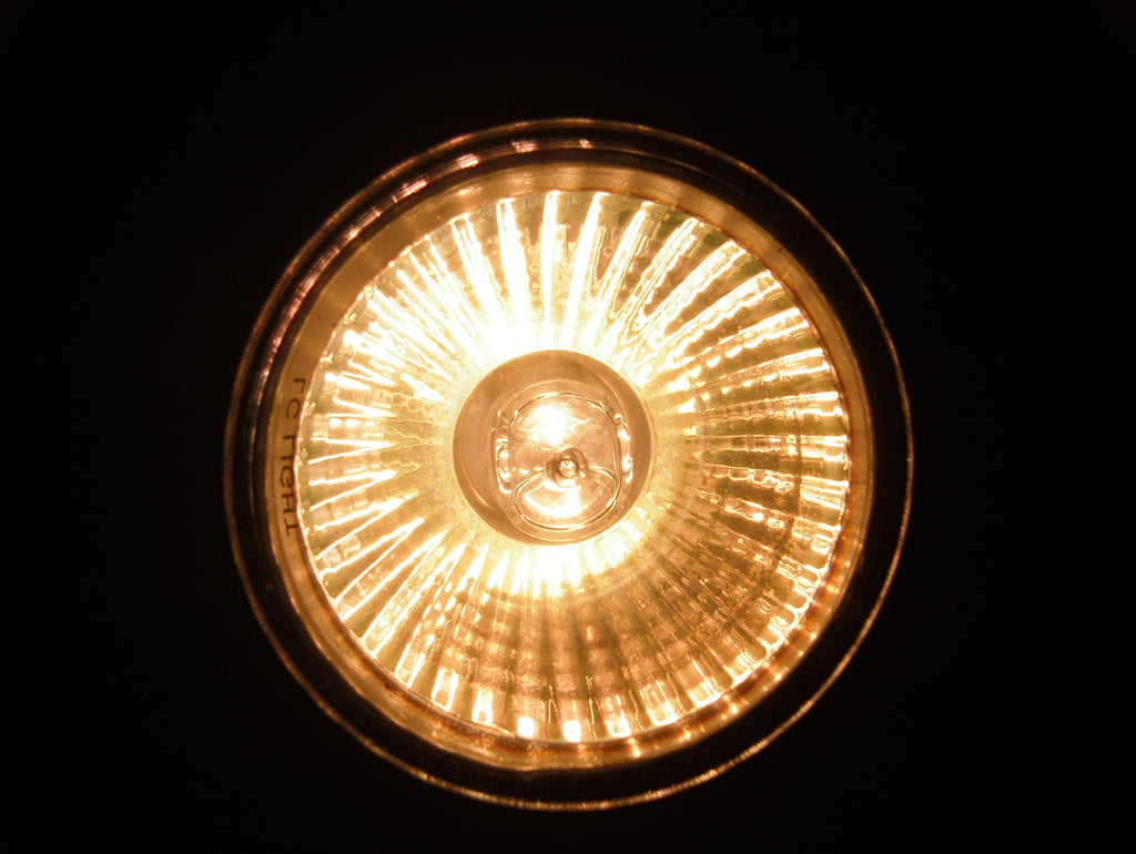 halogen bulb