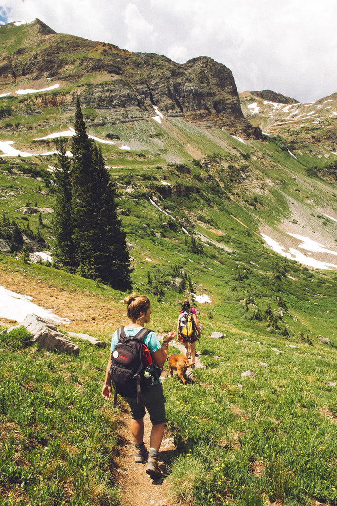 people hiking with dog