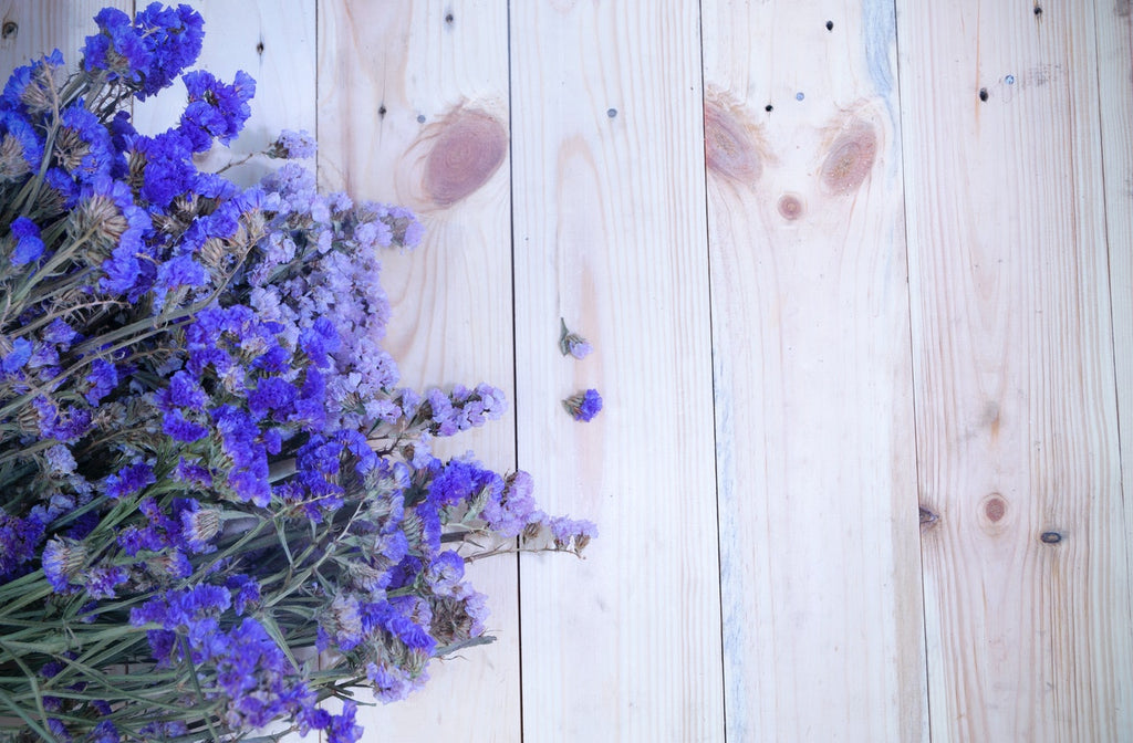 fresh flowers for photoshoot