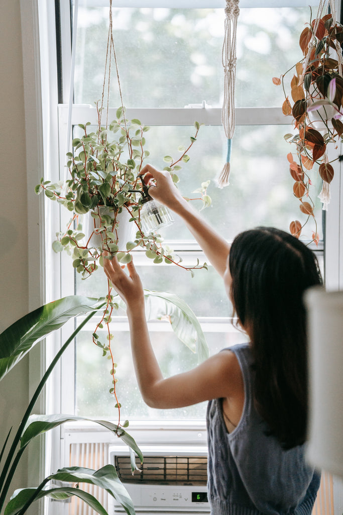 woman watering hanging plants