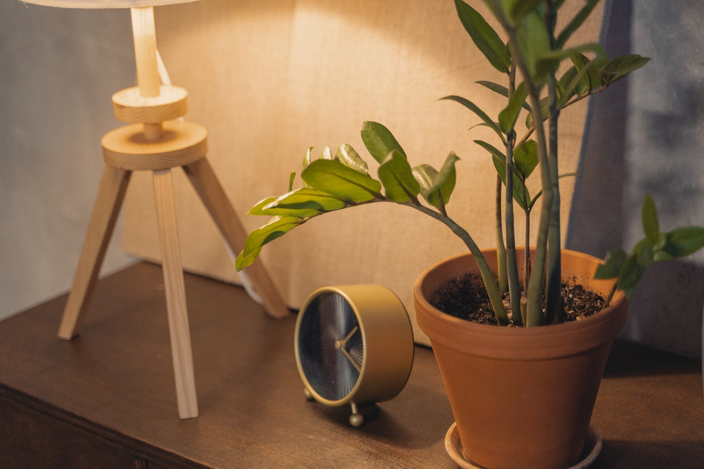 uncluttered nightstand