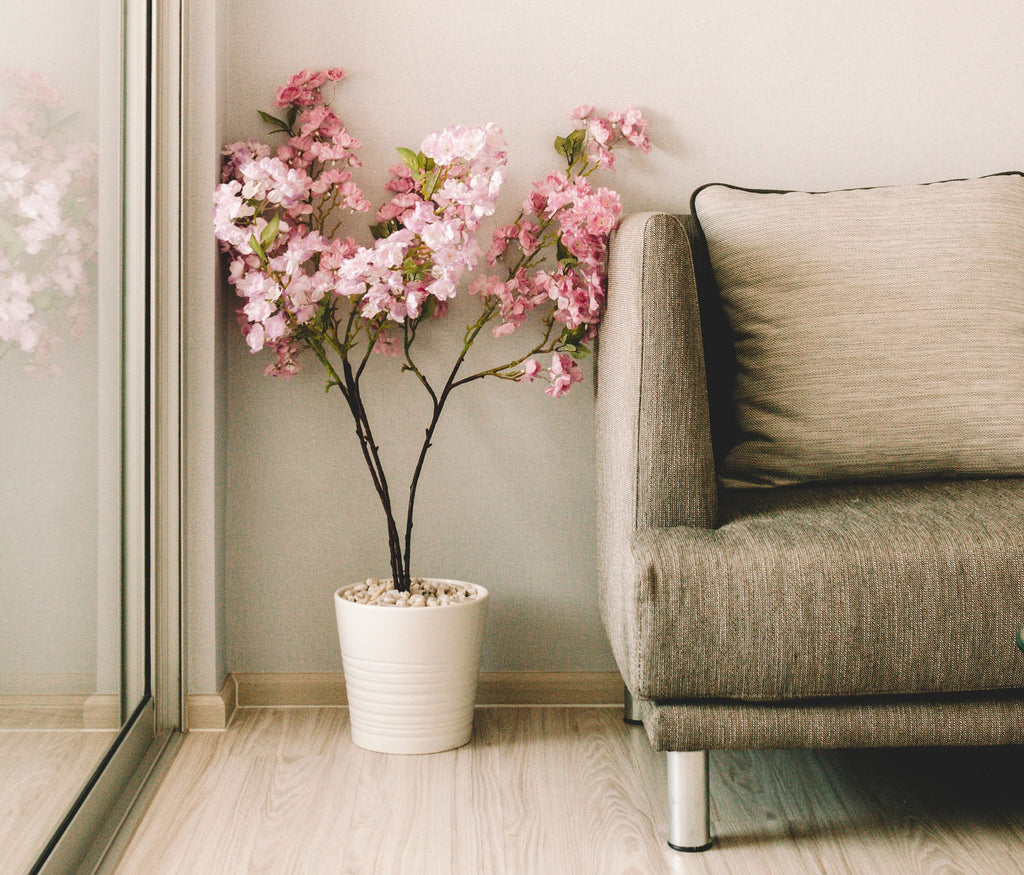 pink room accents