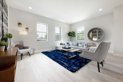 white interior with blue rug
