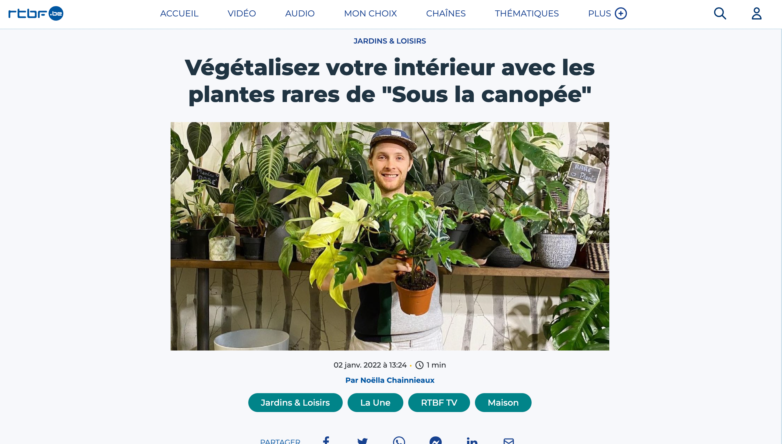 Sous la Canopée: végétalisez votre intérieur