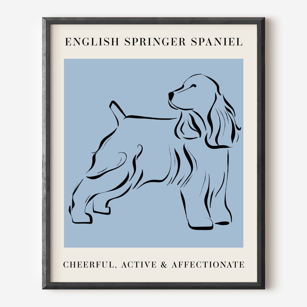 are springer spaniels affectionate