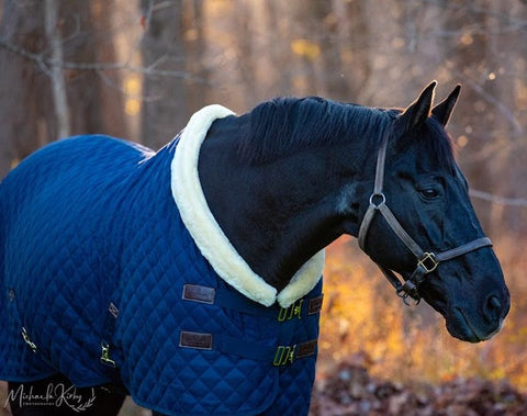 Kentucky Horsewear Show Rug