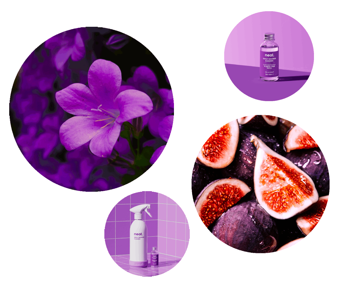 fig-violet-neat.png__PID:754d3a29-07de-443f-990d-bd35f931449d