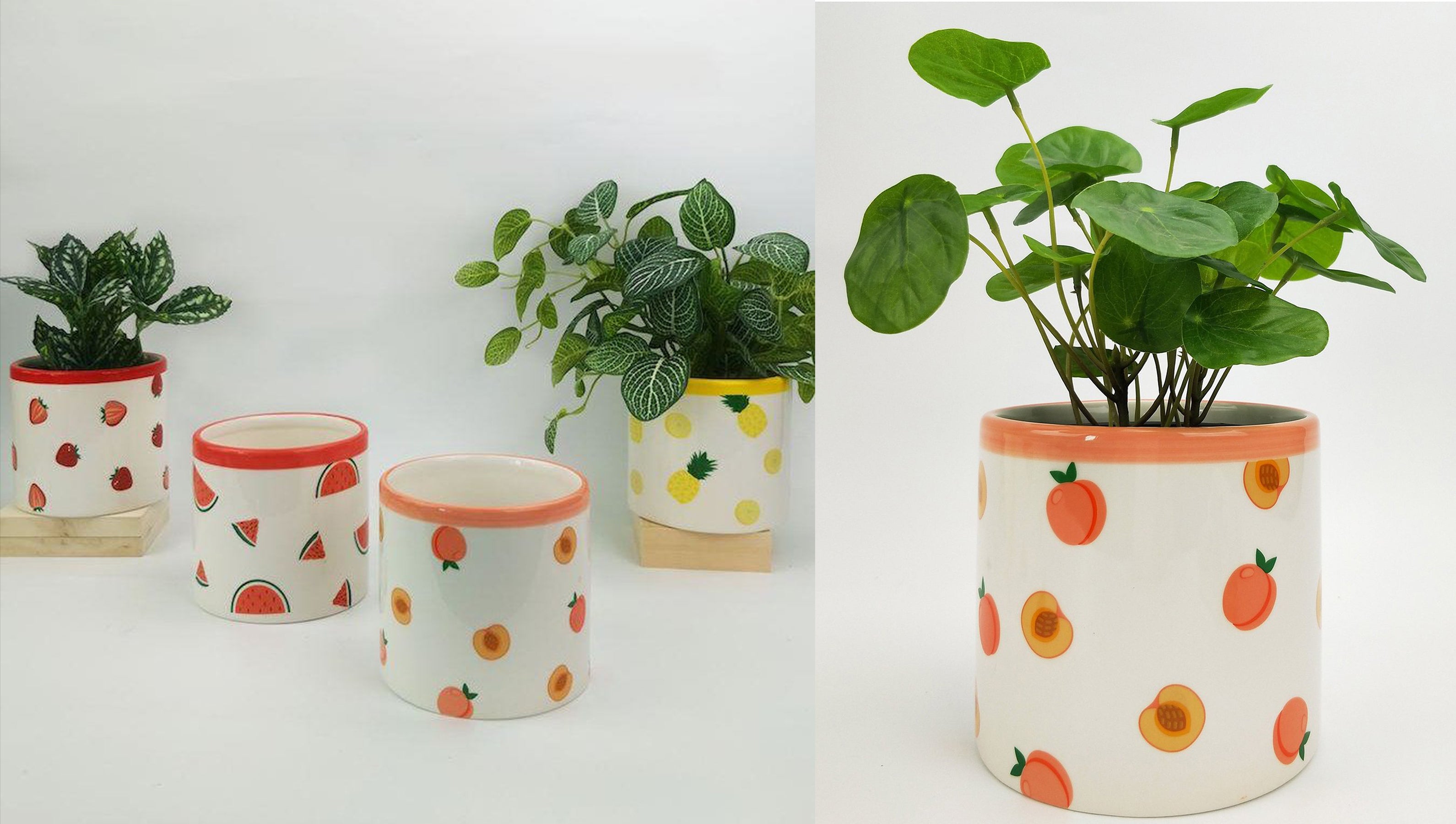 fruit range planters