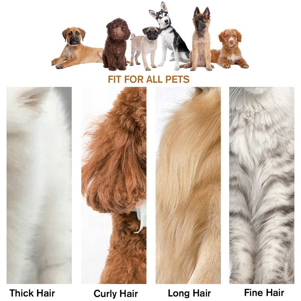 curly hair dog clippers