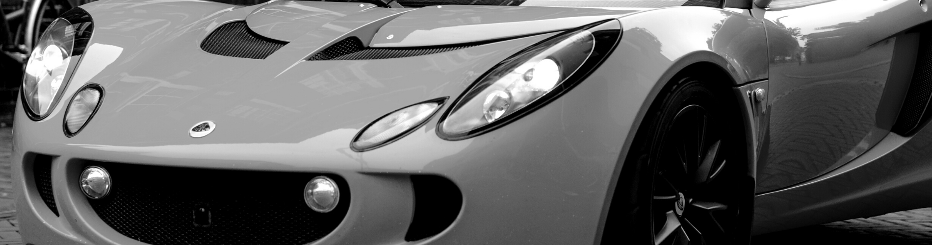 Lotus Car Mats