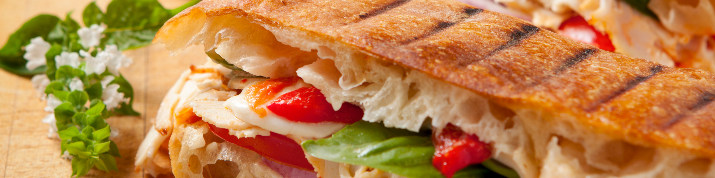 Commercial Panini Grill Buying Guide