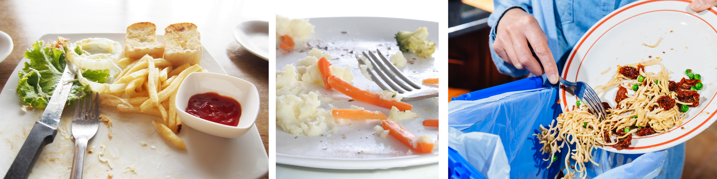 Food left on plates after a meal