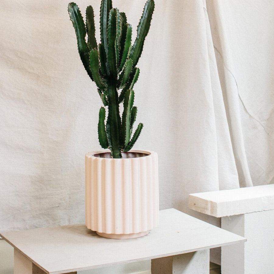 Scallop Planter by The Plant Society x Capra Designs- Totem Collection ...
