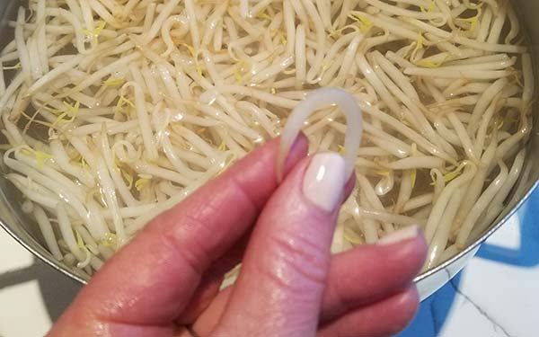 Bring a large pot of water to a boil and put bean sprouts into pot. Immediately turn off heat and allow to sit, uncovered, for 5-7 minutes, or until a sprout can be turned into a “u” shape without breaking. 