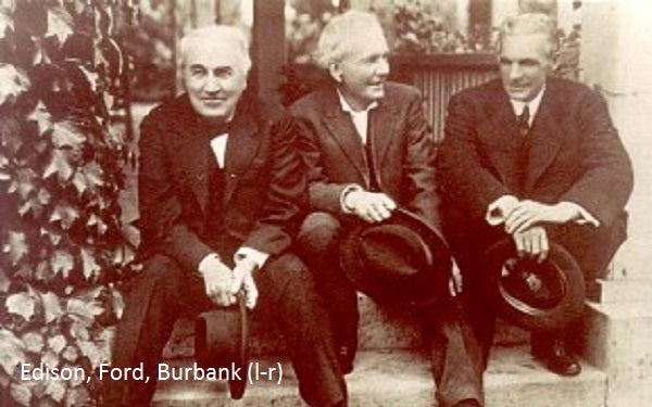 Edison, Ford, Burbank