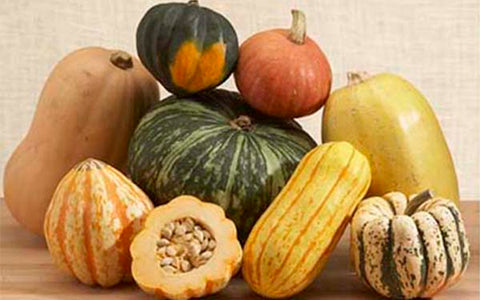 Image of Winter Squash