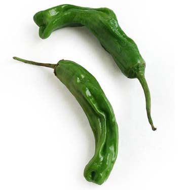 Image of Shishito Pepper