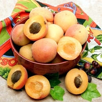 Image of apricots in bowl
