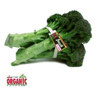 Image of organic broccoli