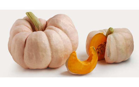 Image of Pink Pumpkins