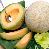 Image of Organic Cantaloupes