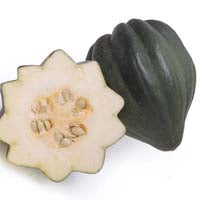 Image of Organic Green Acorn Squash