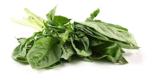 Image of fresh basil