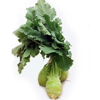 Image of kohlrabi