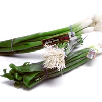 Image of Organic Green Onions