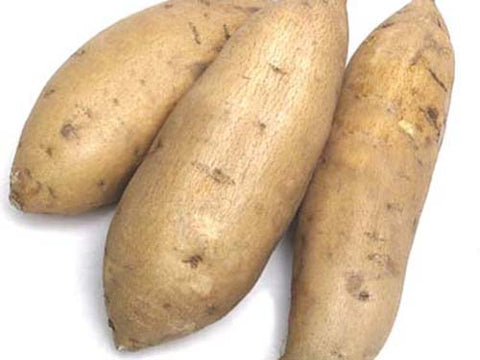 Image of Organic Sweet Potatoes