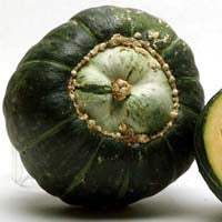 Image of Buttercup Squash