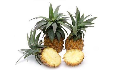 Image of Baby Pineapples