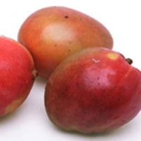 Image of mangos