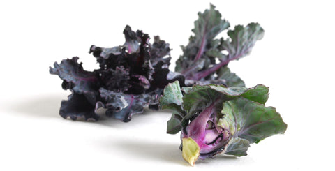 Image of Kale Sprouts