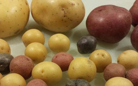 Image of Ingredients for Three-Potato Salad