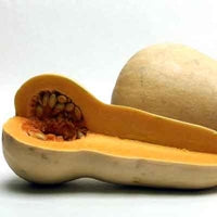 Image of Organic Butternut Squash